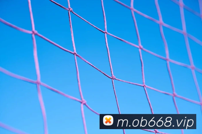 oubao欧宝平台生态图